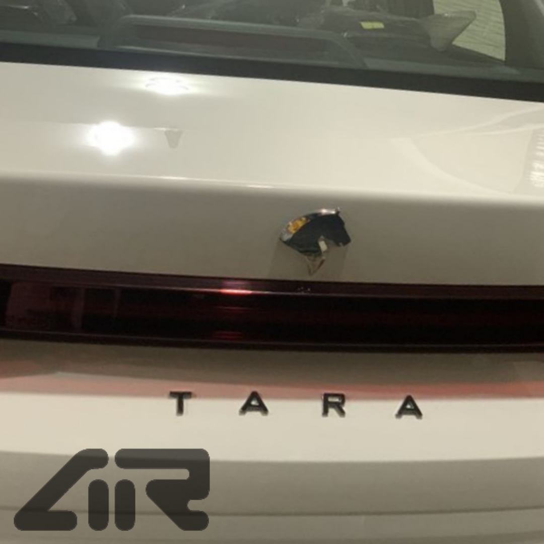 آرم صندوق تارا لاتین ۲